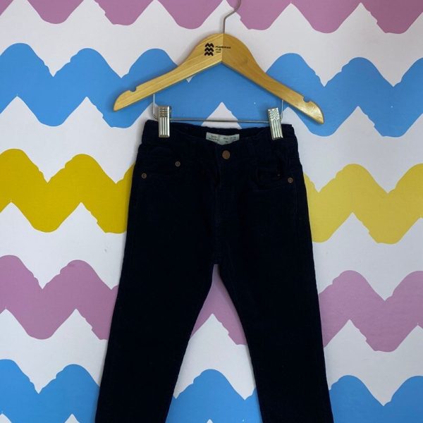 Calça veludo cotelê azul